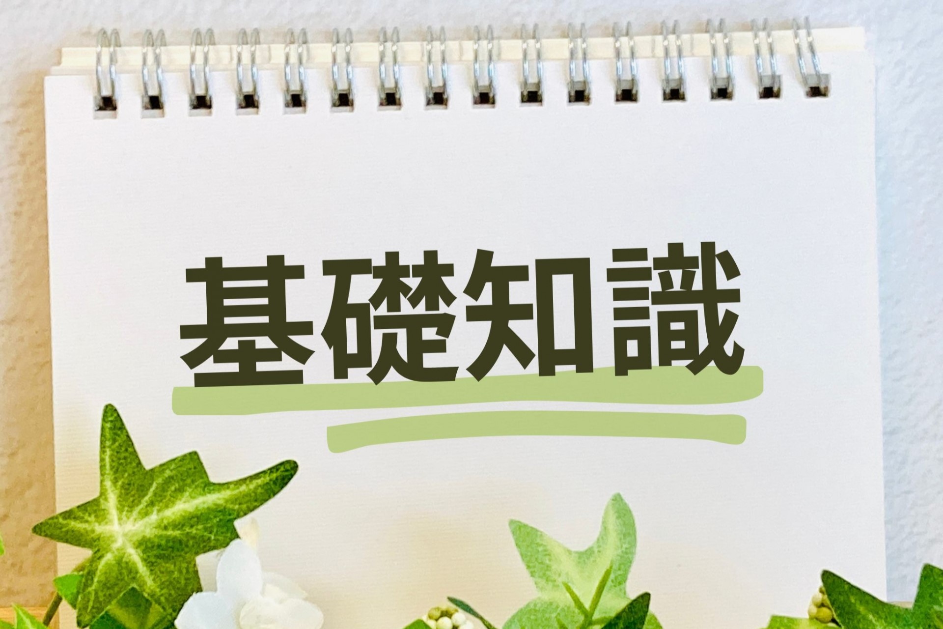 株の買い方入門｜投資初心者が知るべき基礎知識と購入の流れを解説